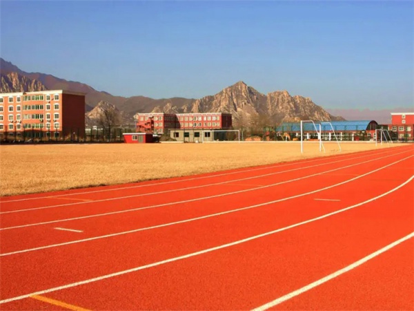 岳阳市橡胶颗粒学校塑胶跑道 - 方案